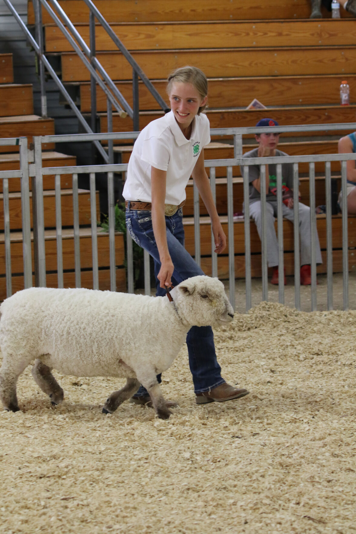 PHOTOS: Fiber Animal Show